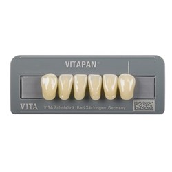 Vita Vitapan Classical Lower, Anterior, Shade A1, Mould L11