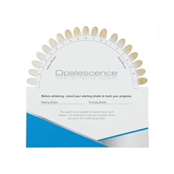 OPALESCENCE Shade Guide Card 50 x Shade Guide cards