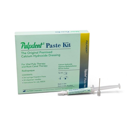 PULPDENT Paste 3ml Syringe